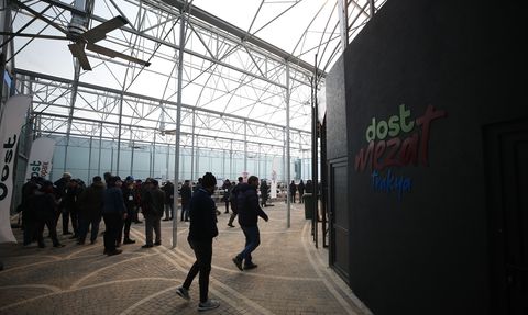 Çanakkale'de Büyükbaş Hayvan Mezatı Düzenlendi