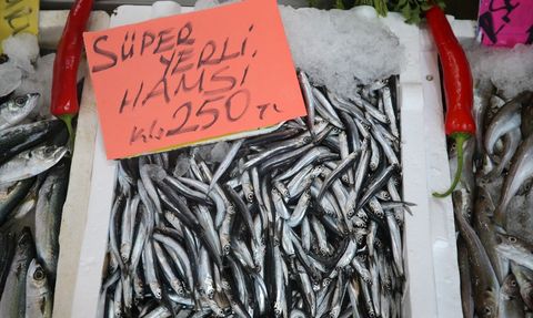 Ordu'da Hamsi Fiyatları Yükseliyor