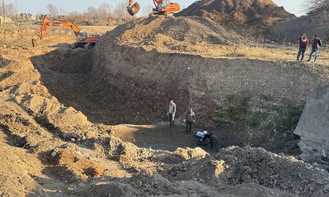 Şanlıurfa'da Derede Mahsur Kalan 240 Kaplumbağa Kurtarıldı