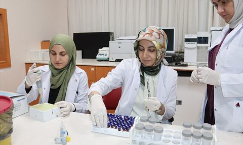 Bağırsak Sağlığı ve Uyku İlişkisi: Yeni Araştırma Sonuçları