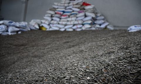 Bilecik'te Girişimcinin Başarısı: 1000 Ton Ay Çekirdeği Eleme Tesisinin Hikayesi