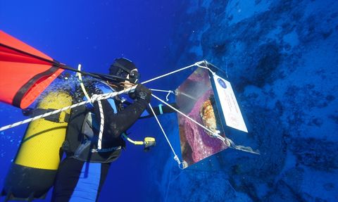 1100 Yıllık Amfora Keşfi: Gemi Batığında Heyecan Verici Buluntular