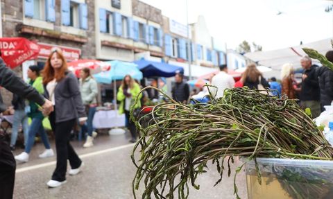 Bodrum'da 6. Acı Ot Festivali Coşkuyla Başladı