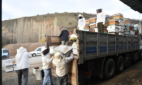 Kayseri'de Arıcılığa Destek: 600 Arılı Kovan Dağıtıldı