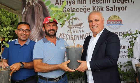 Alanya Keçiboynuzu Coğrafi İşaret Tescili Aldı