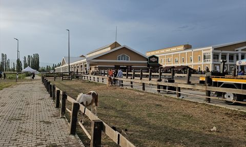 Çorum'da Uluslararası Atlı Dayanıklılık Yarışması Gerçekleşti
