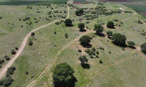 Edirne'de Meralarda Sulamalı Sisteme Geçiş