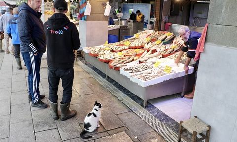 Trabzon'daki Balıkçı Tezgahlarında Çeşitlilik ve Fırsatlar