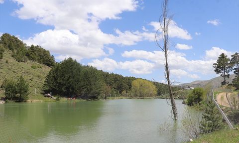 Yozgat'taki Çerçialan Göleti: Doğaseverlerin Yeni Gözdesi