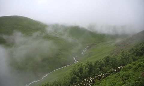 20. İkizdere Dağ Horozu Şenliği Gerçekleşti