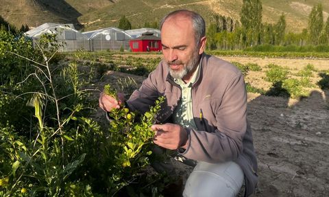 Bayburt Üniversitesi Tarımsal Ürün Hasadı Gerçekleştirdi
