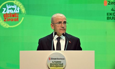 Hazine ve Maliye Bakanı Şimşek'ten Enflasyon ve Tarım Destekleri Üzerine Açıklamalar