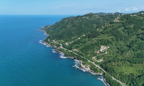 Hoynat Adası: Ordu’nun Doğal Cenneti