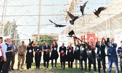 Şanlıurfa'da Kelaynakların Doğaya Salınması