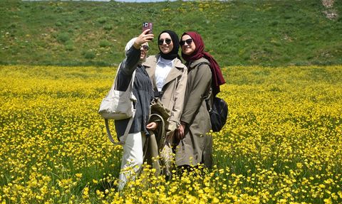 Sarıçiçek Köyü'nde Sarı Çiçeklerin Görsel Şöleni