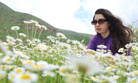 Sırakayalar Şelalesi: Bayburt'un Doğal Cenneti