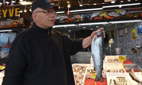 Trabzon'un Balık Tezgahları: Somon ve Alabalık Üstünlüğü