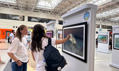 Akdeniz'de Tehlike Altındaki Türler Sergisi Antalya Havalimanı'nda Açıldı