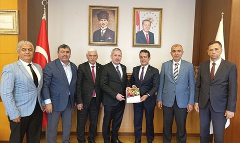 Antalya Tarım Konseyi'nden Yaş Meyve Sebze Raporu