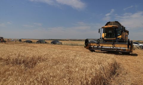 Edirne'de Buğday Hasadı: Vali Sezer Tarımın Modern Yüzünü Gözler Önüne Serdi