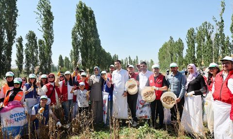 Gönüllü Gençlerin Tarımda Hasat Etkinliği