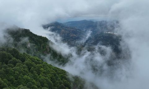 Hıdırnebi Yaylası: Trabzon'un Gizli Cenneti