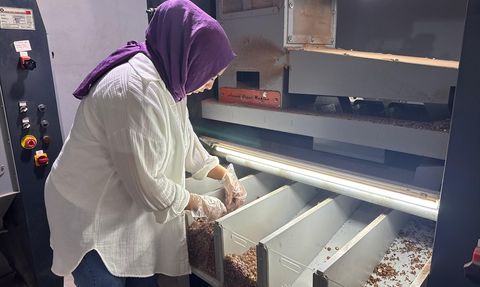 Kadın Girişimciden Fındık İşleme Tesisi: Aysun Gündoğdu