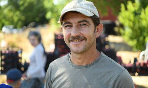 Lapseki Şeftalisinde İhracat Hedefi 70 Ton