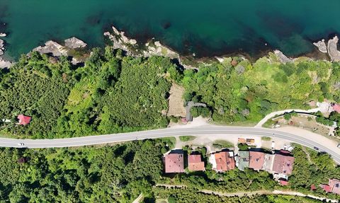 Perşembe ile Fatsa Arasındaki Sahil Yolu: Doğanın Büyüsü