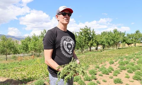 Tarhun Üretimi İçin ABD'li Firma Bayburt'ta İncelemelerde Bulundu