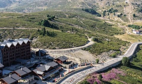 Uludağ Premium Ultra Trail Koşusu Bursa'da Heyecanla Başladı