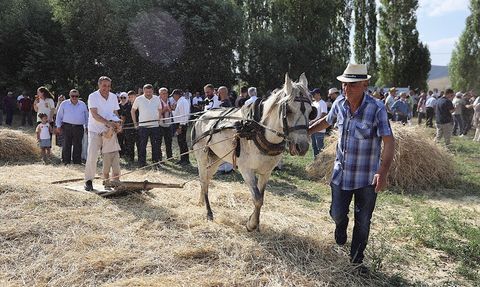 Bayburt'ta 6. Harman Festivali Coşkusu