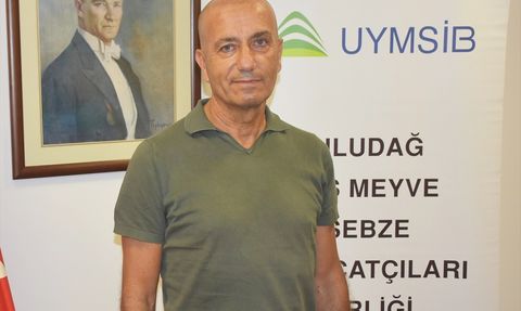Bursa Siyah İncirinin İhracat Sorunları Giderilmeli