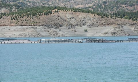 Malatya'da Alabalık Üretim Tesisi Sayısı Artıyor