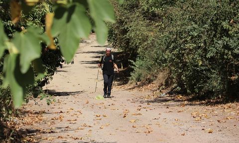 Türkiye'nin İlk Kadın Kar Leoparı: Esin Handal