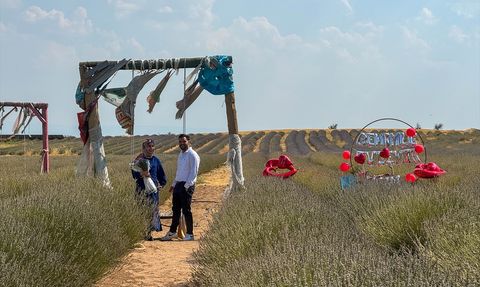 Uşak'ta Mor Bahçelerle Ekonomi Canlanıyor