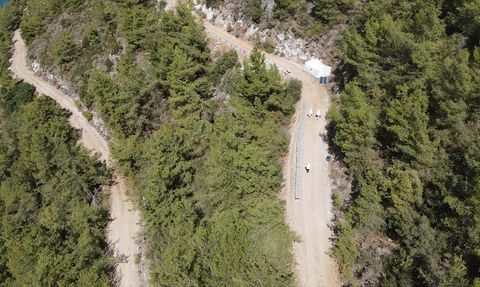 Bodrum'da Ata Mesleği Arıcılık: Ahmet ve Mehmet Yılmaz’ın Hikayesi