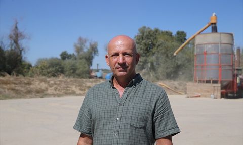 Edirne'de Ayçiçeği Verimi Düşüyor