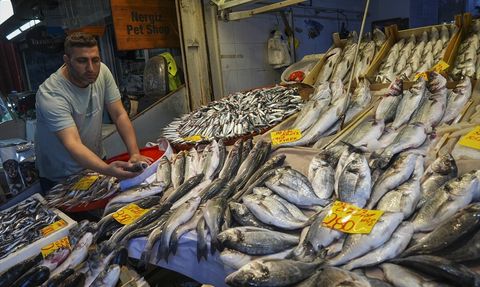 Ege'de Balık Sezonu Bereketli Başladı