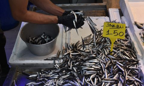 Trabzon'da Hamsi ve İstavrit Fiyatlarında Düşüş