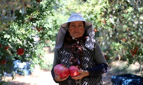 Antalya Nar Üretiminde ve İhracatında Zirvede