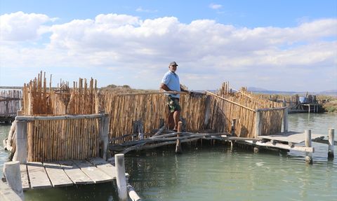 Çukurova'da Havyar Üretimi ve Talep Artışı
