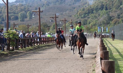 Cumhuriyet Kupası Rahvan At Yarışları Ünye'de Gerçekleştirildi