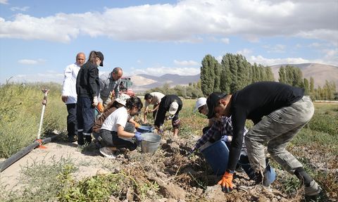 Geleceğin Ziraat Mühendisleri Niğde'de Yetişiyor