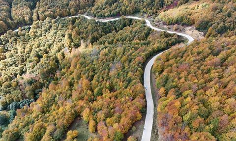 Korgan Yaylası'nda Sonbahar Renkleri