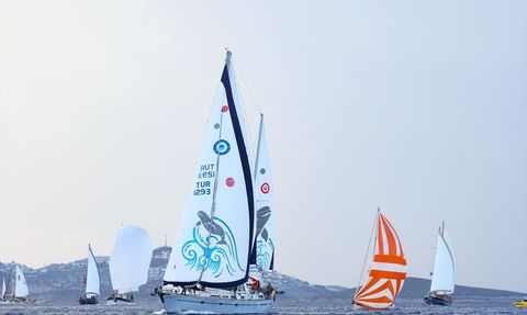 Maximiles Black The Bodrum Cup Yelken Yarışları Devam Ediyor