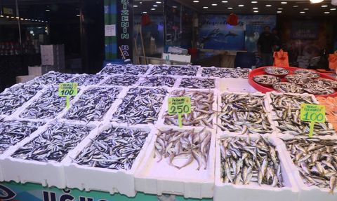 Rize'de Hamsi Bolluğu: Fiyatlar Uygun, Talep Yüksek