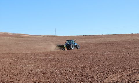 Sivas'ta Yerli Buğday ve Arpa Ekimleri Başladı
