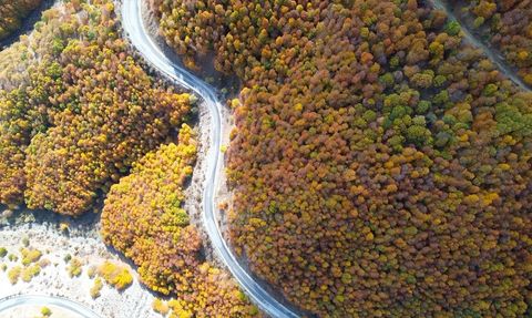 Sonbaharın Renkleriyle Kaplanan Şebek Geçidi