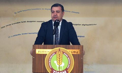 TİGEM'den Rekor Tay Satışı: 'Hızlı Yasin' 10.5 Milyon TL'ye Satıldı